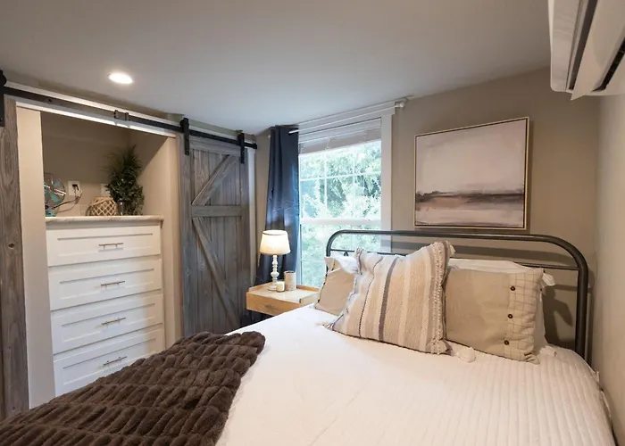 Pet Friendly Tiny House Rental With New Access To Guadalupe River Nbtx